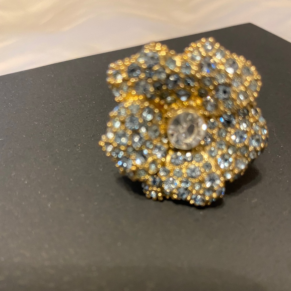 Ann Taylor Fashion ring